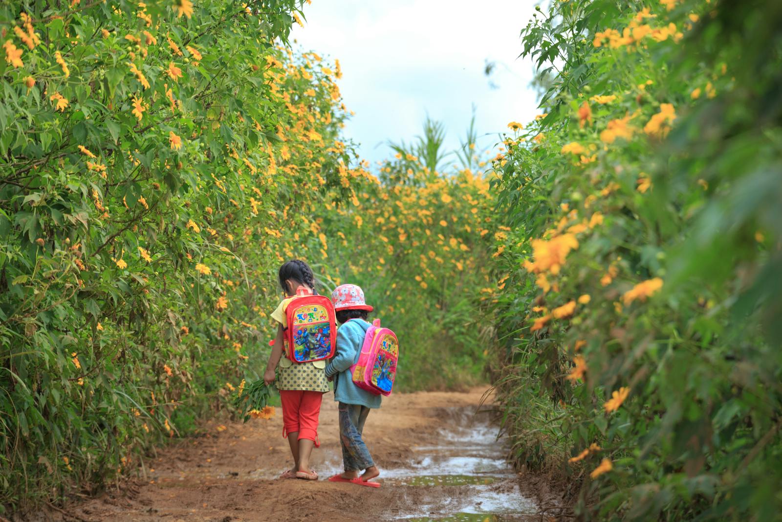 Two children with backpacks walking through a vibrant yellow flower path outdoors.