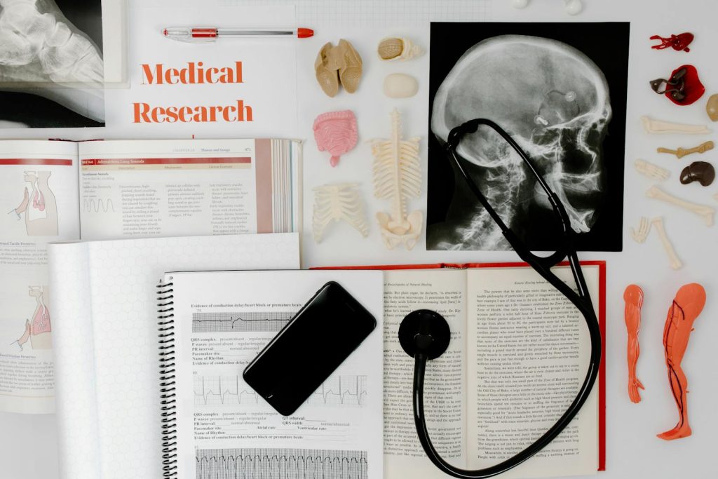 Flat lay of medical research materials with a stethoscope and anatomical models.